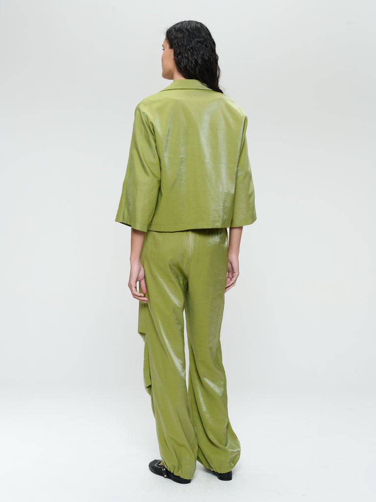 Jane Lushka AvalonN Shiny Viscose Pants Lime