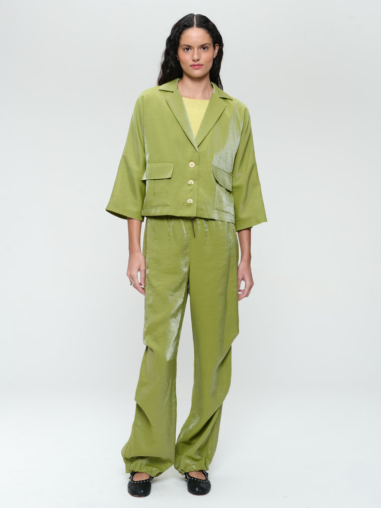 jane lushka AvalonN shiny viscose pants Lime
