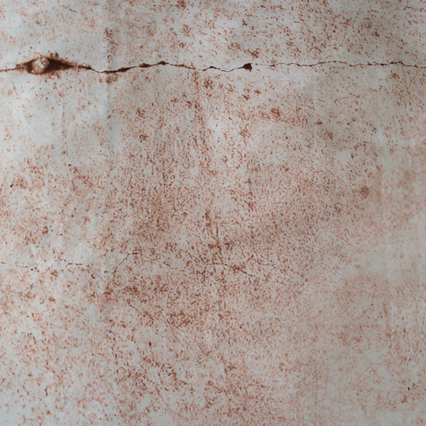 Kayori Kayori Nobo Dekbedovertrek Katoensatijn