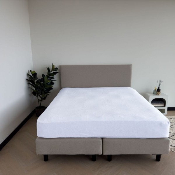 Kayori Kayori Saiko Molton Hoeslaken