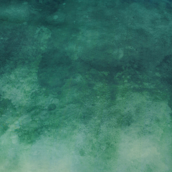 Kayori Kayori - Tashiro - DBO - Tencel - 240/200-220 - Groen