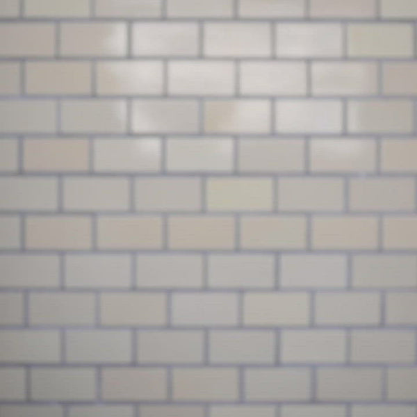 Keecie Cat Chase - Lavender Blue