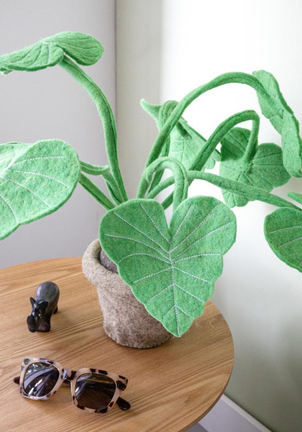 KidsDepot Planten Alocasia