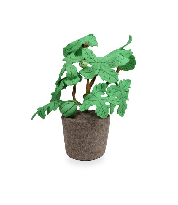 KidsDepot Planten Carica