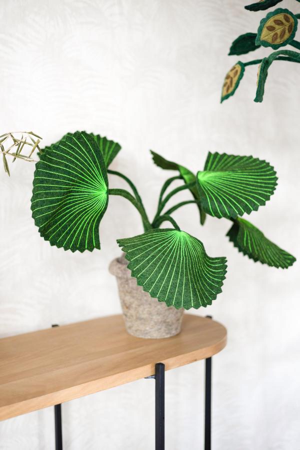 KidsDepot Planten Pebbe