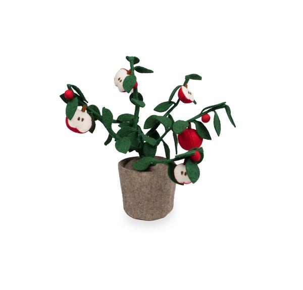 KidsDepot Planten Plant Apple