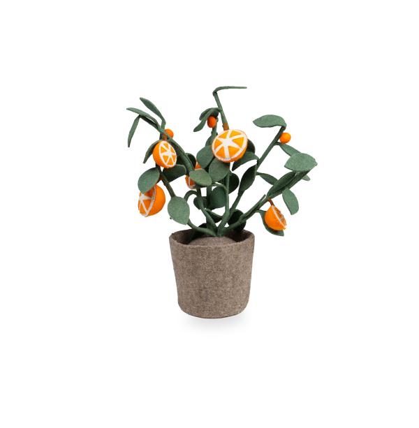KidsDepot Planten Plant Orange