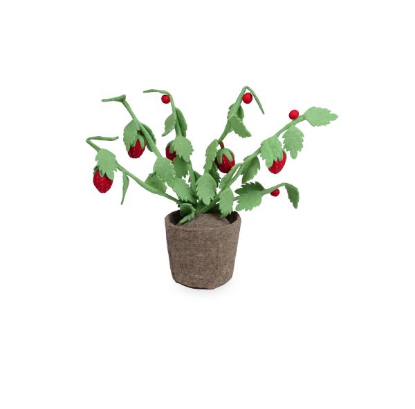 KidsDepot Planten Plant Strawberry