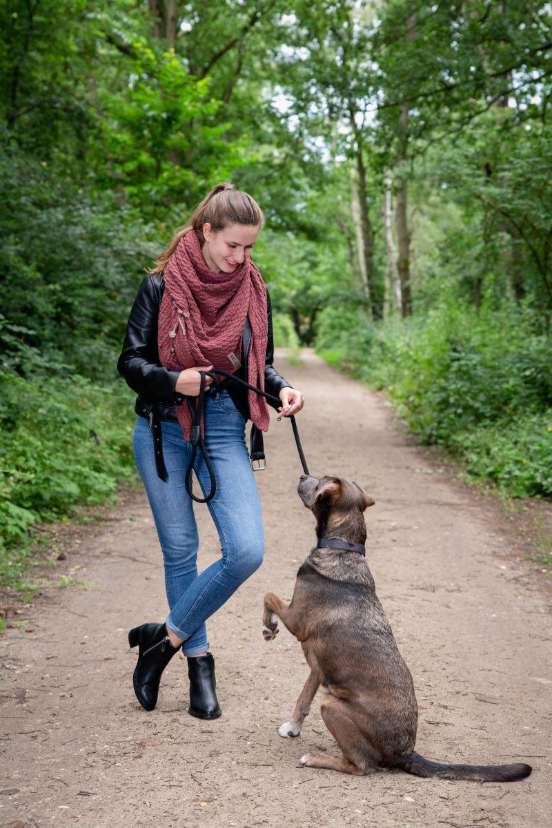 Knit Factory Sierspeld Stone Red