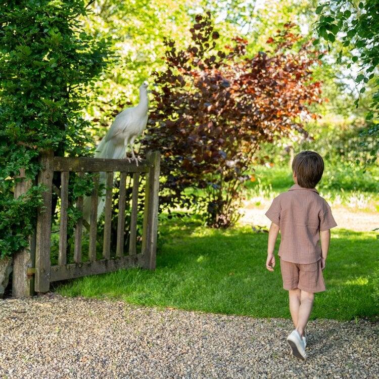 Koko Noko Koko Noko Jongens Blouse Korte Mouw Zachtbruin