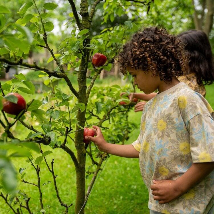 Koko Noko Koko Noko Jongens T-shirt Loose Fit Beige Bloem Lime Blauw