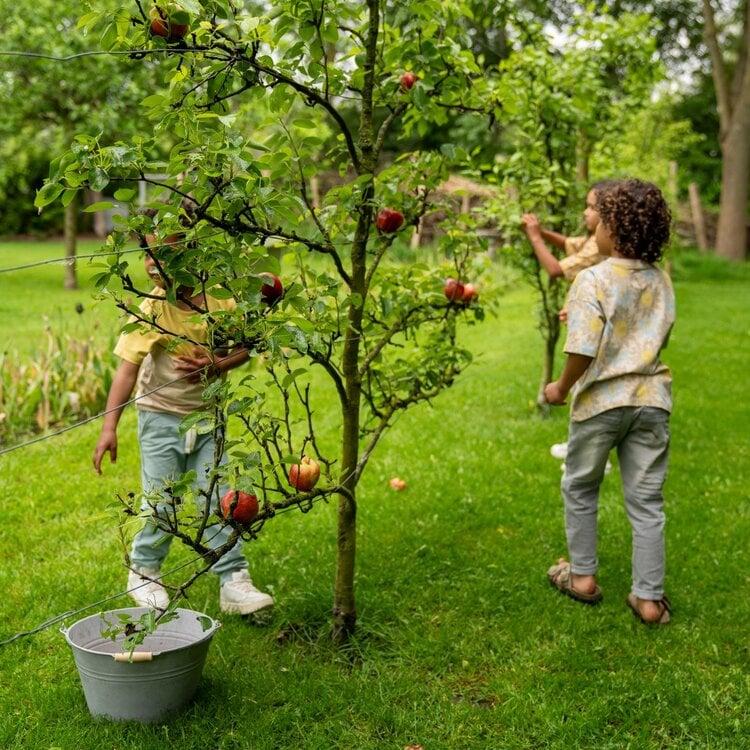 Koko Noko Koko Noko Jongens T-shirt Loose Fit Beige Bloem Lime Blauw