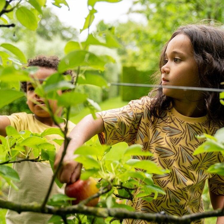 Koko Noko Koko Noko Jongens T-shirt Loose Fit Geel Bruin Grijs