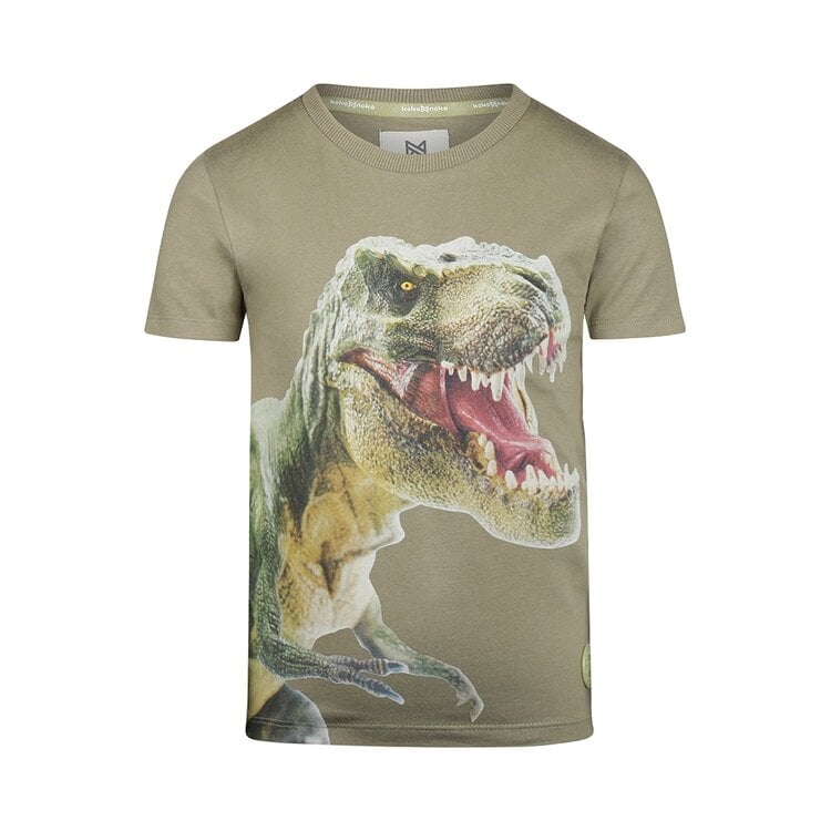 koko noko Koko Noko jongens T-shirt zachtgroen dino fotoprint