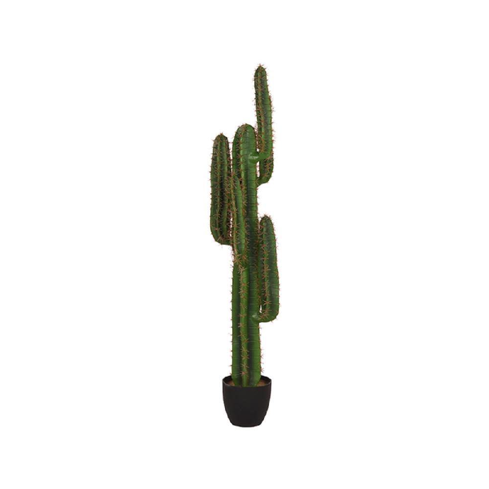 Label51 Kunstplant Cactus 30x25x130 Cm
