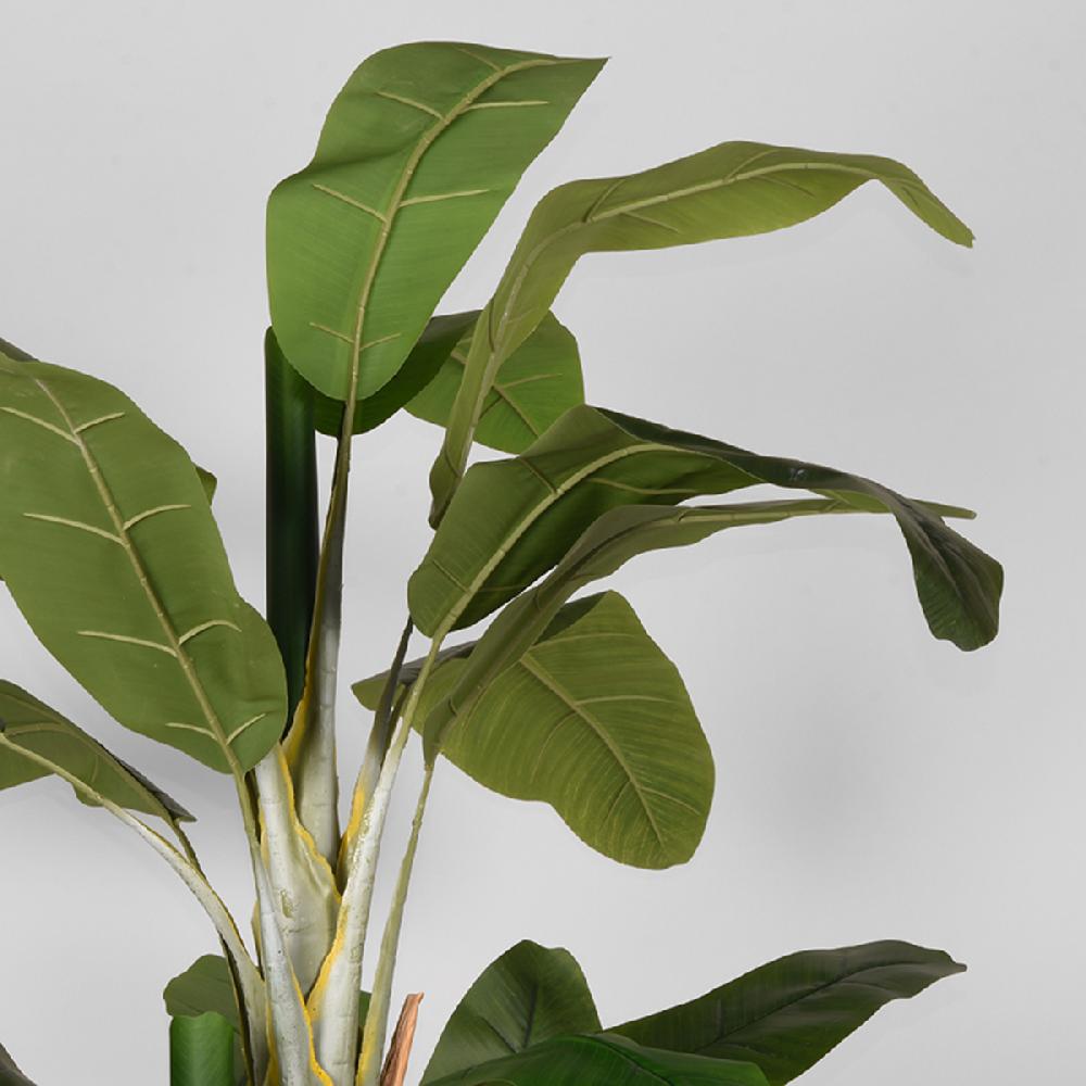Label51 Kunstplant Musa 110x110x180 Cm