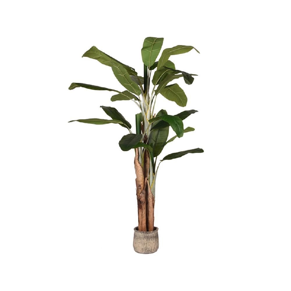 label51 Kunstplant Musa 110x110x180 cm