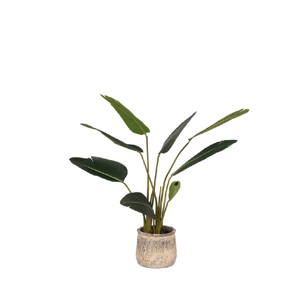 label51 Kunstplant Strelitzia 70x70x100 cm