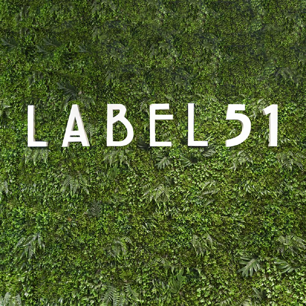 Label51 Kunstplant Wandpaneel 80x10x80 Cm