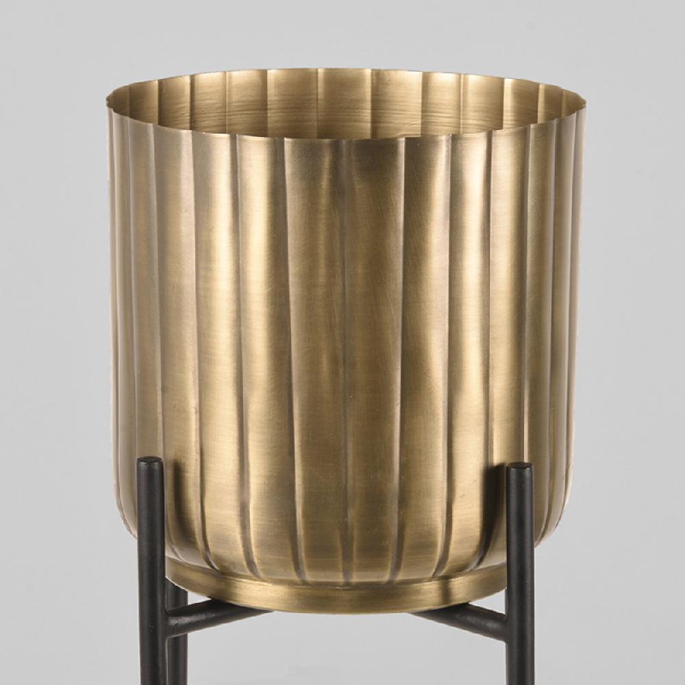 Label51 Set Plantenstandaards 23x23x50 Cm