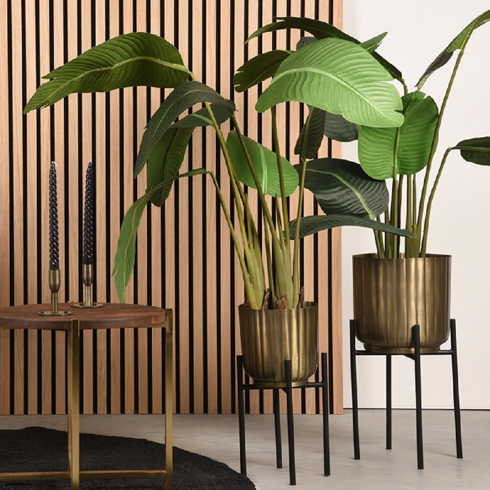 Label51 Set Plantenstandaards 23x23x50 Cm