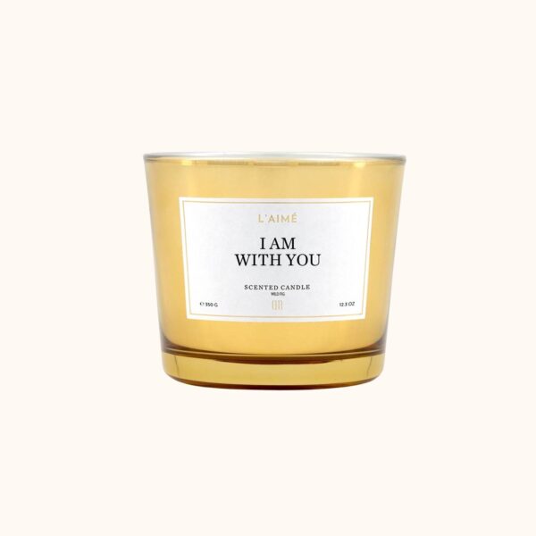 l'aimé I am with you