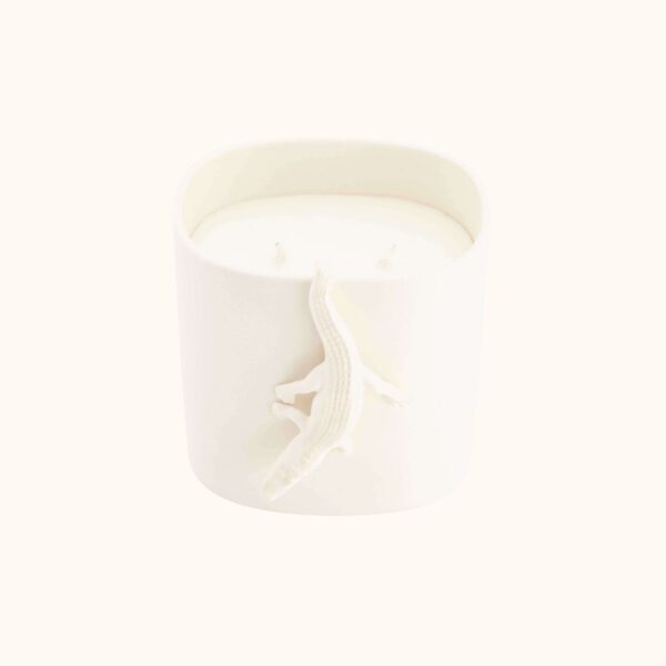 L'aimé Le Crocodile Keramiek