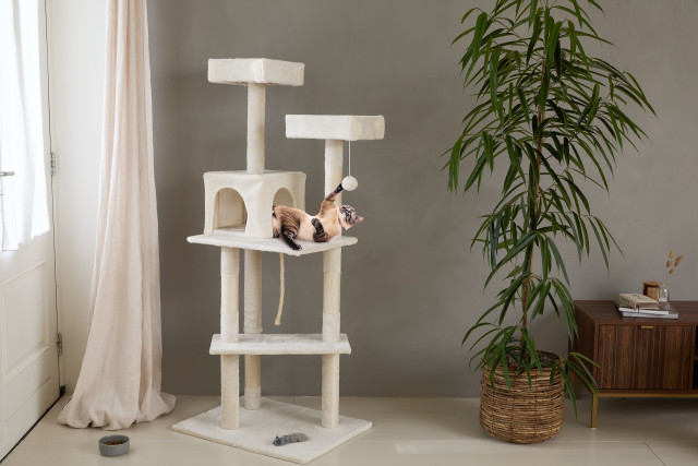 lifa living Krabpaal voor katten: De ultieme speel- en rustoplossing voor uw katachtige vriend