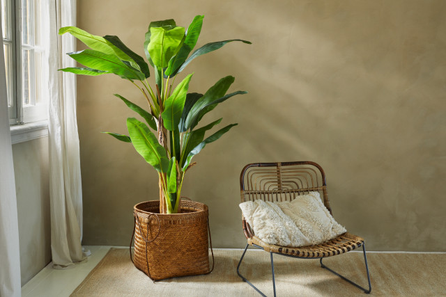 lifa living Kunstplant Bananenplant - Lifa Living Wel de voordelen maar niet de nadelen van een mooie en grote plant? Dan is deze indrukwekkende kunst bananenplant echt iets voor jou. Leuk als tropische sfeermaker in de woonkame