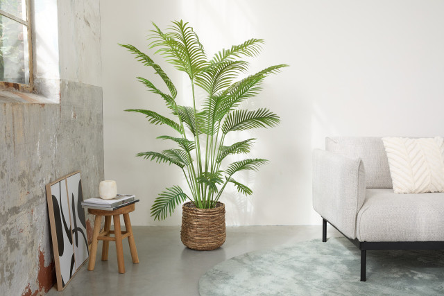 lifa living Kunstplant palm 170cm