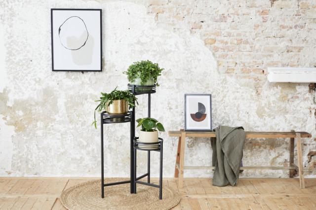 lifa living Plantenbak Azalea