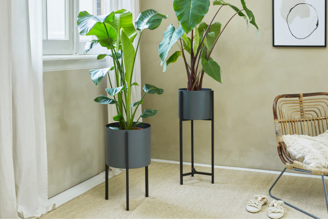 lifa living Plantenbak Delphine - Lifa Living