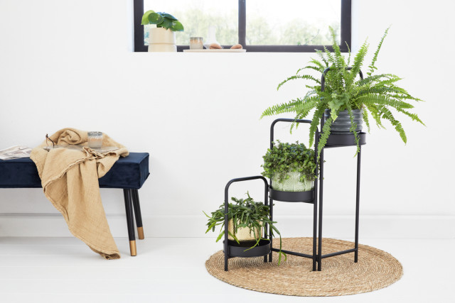 lifa living Plantenbak Rose