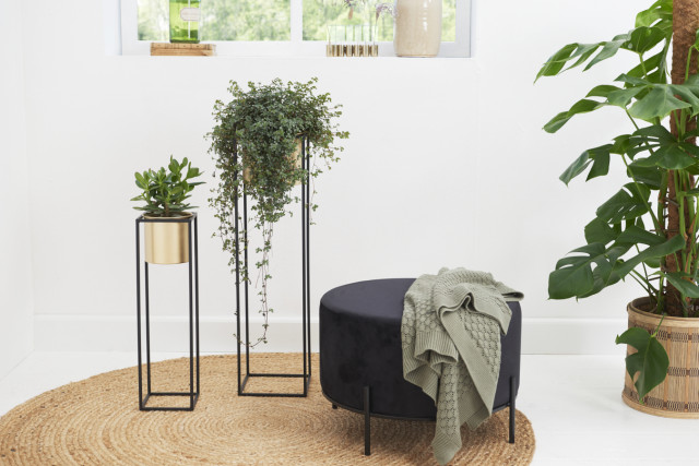 lifa living Plantenbak Violet