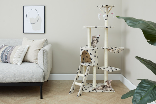 lifa living Maak kennis met de Pootjes Krabpaal - Het Ultieme Kattenparadijs