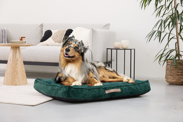 lifa living Maak kennis met het Hondenkussen ribfluweel - de perfecte mix van comfort stijl en functionaliteit voor je geliefde huisdier