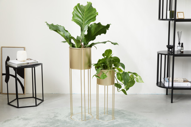 lifa living Mila Plantenbakken - Set 2: Verfraai je kamerplanten met tijdloze elegantie