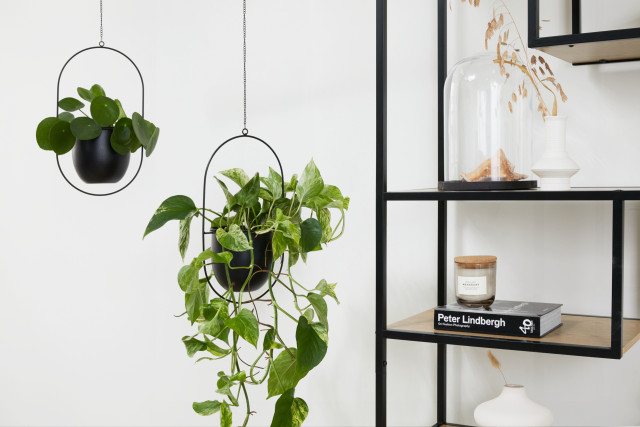 lifa living Plantenhanger Liv Set/2 - Lifa Living Met deze superleuke plantenhangers maak jij dat ene hoekje helemaal af Het zijn echte eyecatchers die overal tot hun recht komen of het nu in de keuken of boven de bank is ze gev