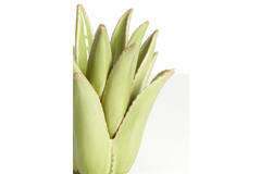 Light & Living Kandelaar Ø11 5x11 5 Cm CACTUS Keramiek Licht Groen