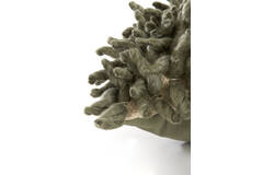 Light & Living Kussen 45x45 Cm COMALLO Groen