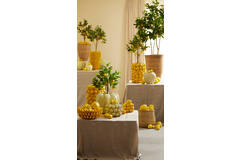 Light & Living Vaas Deco Ø31x41 Cm LEMON Geel