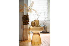 Light & Living Ornament 20x16x7 5 Cm BEE Glanzend Goud