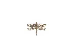 Light & Living Ornament 24x17 5x4 Cm DRAGONFLY Glanzend Goud