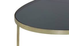 Light & Living Salontafel 118x89x40 Cm TURBI Glas Zwart-mat Brons