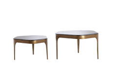 Light & Living Salontafel S/2 Max 77x70x42 Cm AVI Glas Smoke+antiek Brons