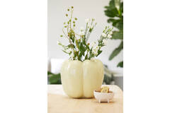 Light & Living Schaal Op Voet 16x15 5x8 5 Cm ROSANA Crème