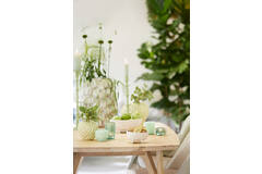 Light & Living Schaal Op Voet 27x26 5x11 5 Cm ROSANA Crème