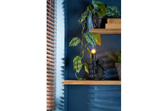 Light & Living Tafellamp E14 13x12 5x23 5 Cm MONKEY Mat Zwart