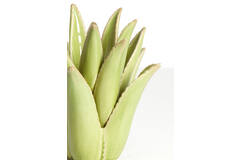 Light & Living Theelicht Ø24 5x23 Cm CACTUS Keramiek Licht Groen