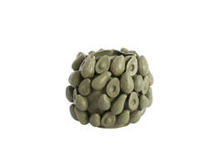 Light & Living Vaas Deco 36x35 5x31 5 Cm AVOCADO Keramiek Olijf Groen